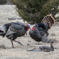 Dave Smith Decoys Strutter Jake
